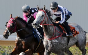 Zac Purton rides Beauty Generation (left) while Grant van Niekerk partners Fifty Fifty in a barrier trial. Photos: Kenneth Chan