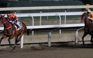 Dylan Mo and Viva Council kick clear of their rivals on Wednesday night. Photos: Kenneth Chan