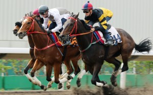 The John Size-trained D B Pin and Ivictory trial together in preparation for Sunday’s Group Two Jockey Club Sprint. Photos: Kenneth Chan