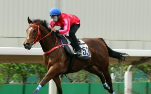Karis Teetan cruises to a solid barrier trial victory at Sha Tin last week on Mr Stunning. Photos: Kenneth Chan