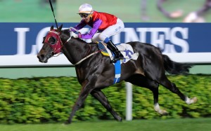 Encouraging wins at Sha Tin on Sunday. Photos: Kenneth Chan