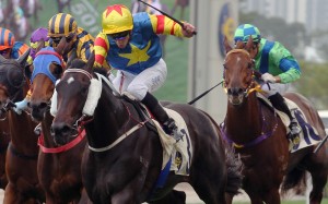 Chad Schofield kicks home Smart Rocket at Sha Tin. Photos: Kenneth Chan