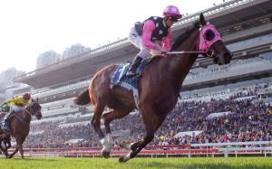 Beauty Generation is chasing a sixth Group One win in the Queen’s Silver Jubilee Cup. Photos: Kenneth Chan