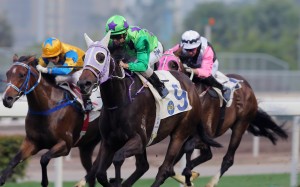The Jockey Club says Britain’s equine influenza outbreak won’t impact Hong Kong. Photos: Kenneth Chan