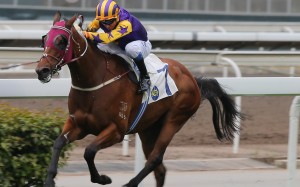 Retiring Douglas Whyte races clear on Storm Signal (inside) only to be chased down by Lean Perfection (outside). Photos: Kenneth Chan