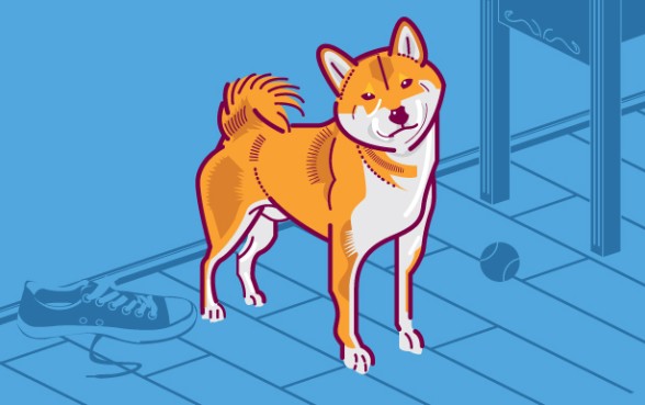 Best dog breeds for Hong Kong flats