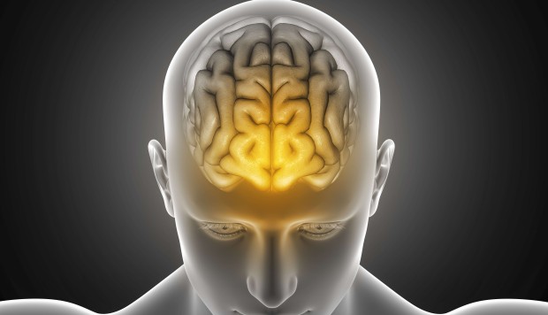 9 unanswered questions about the human brain | South China Morning Post