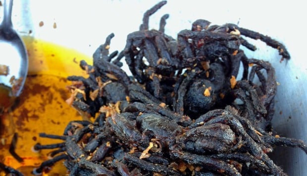From fried spider to grilled bat, four of the best Southeast Asian foodie tours