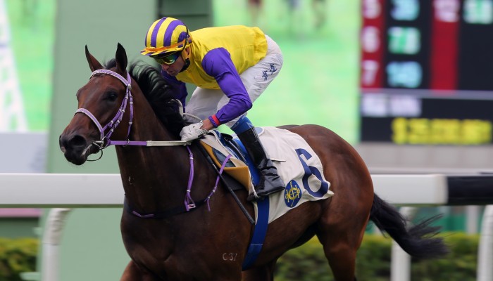 First Time A Charm For Chris So s Invincible Missile At Sha Tin HK Racing South China 