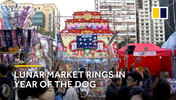 Market Positioning and Accessibility