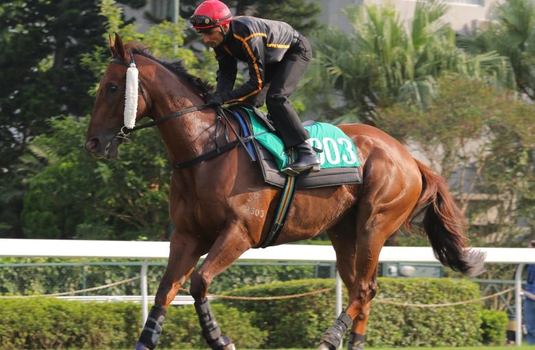 Able Friend is in tip top shape for Sunday's Premier Bowl.   