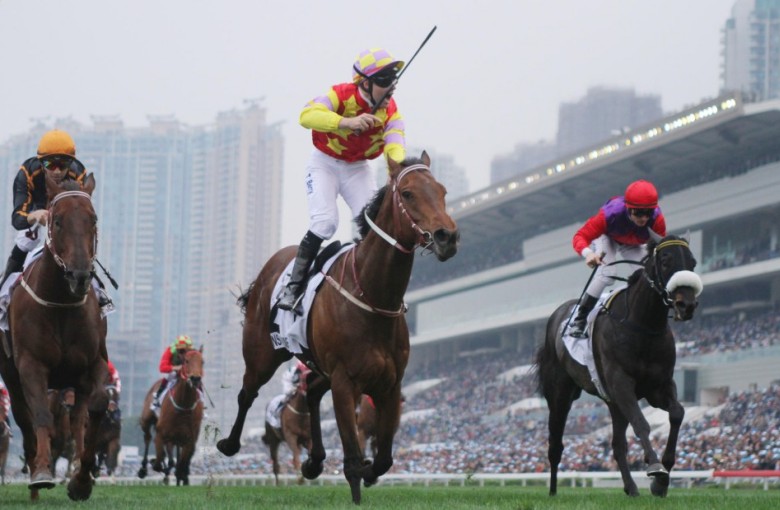 2016 Bmw Hong Kong Derby Analysis Why Each Of The 14