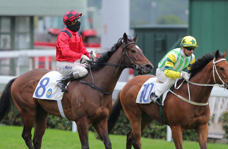Race 7, Line Seeker, ridden by Zac Purton, won the class 3 over 1200m at Sha Tin on 24Jan16.