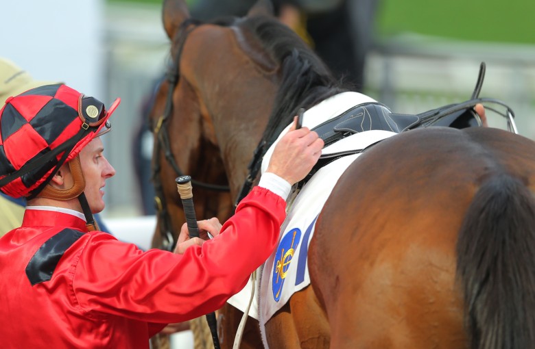 Zac Purton unsaddles Line Seeker after the son of O’Reilly made it back-to-back wins after returning from off-season surgery. Photo: Kenneth Chan