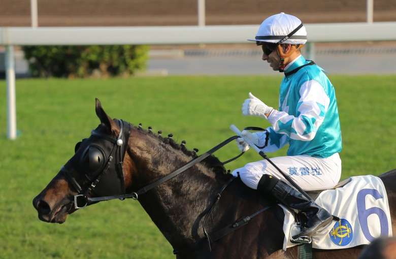 Hit The Bid’s consistency makes him a strong Triple Trio banker, even if he rarely wins. Photo: Kenneth Chan