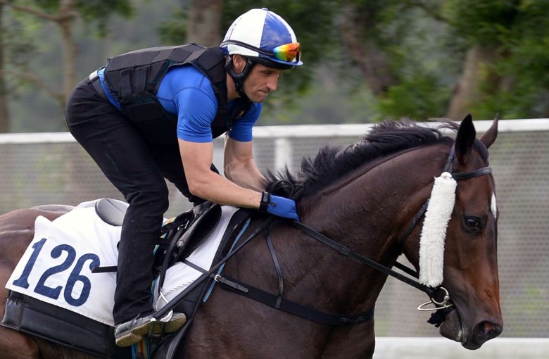 Neil Callan takes Green Card for a gallop down the riverside at Sha Tin on Thursday morning. Photo: Kenneth Chan