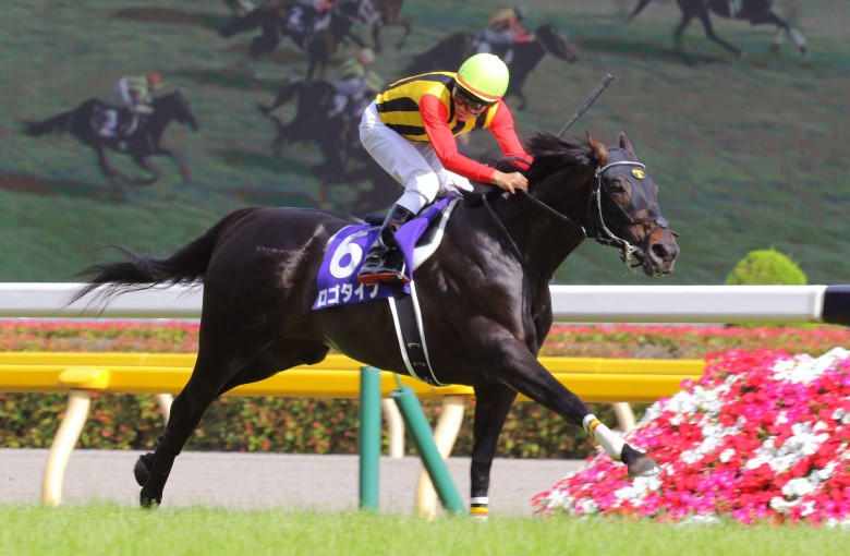 Maurice was far from disgraced in second, with jockey Tommy Berry saying the horse didn’t settle, but Hong Kong’s Contentment finished last