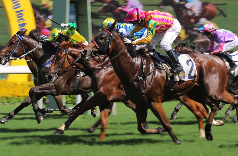 The champion Australian rider is the king of celebrations, but his decision not to wave his whip after crossing the line on Winston’s Lad proved correct as he went down by a nose