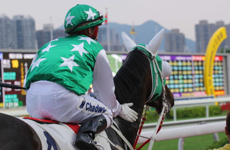 Racing’s newest cult hero gets hit hard by the handicapper, rated higher than former superstar Silent Witness at the same stage of his career