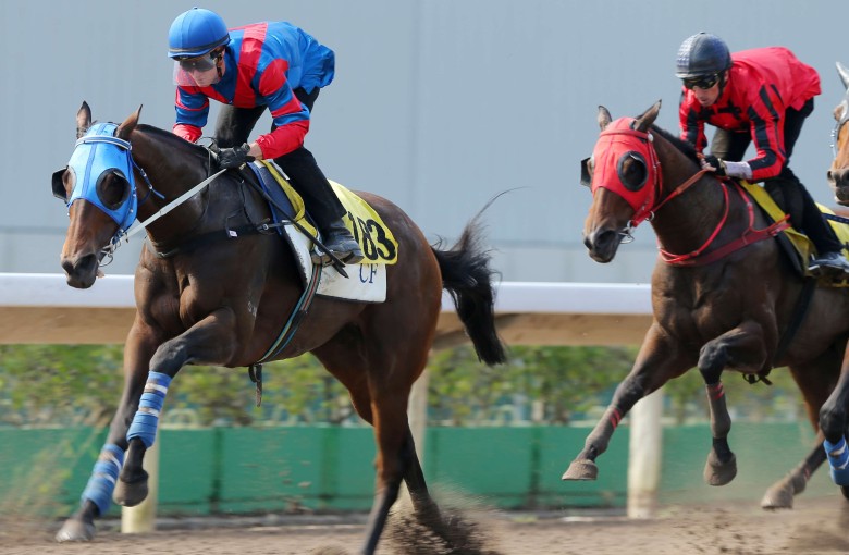 Zac Purton gives Gun Pit a hit-out in Tuesday’s barrier trial at Sha Tin. Photos: Kenneth Chan