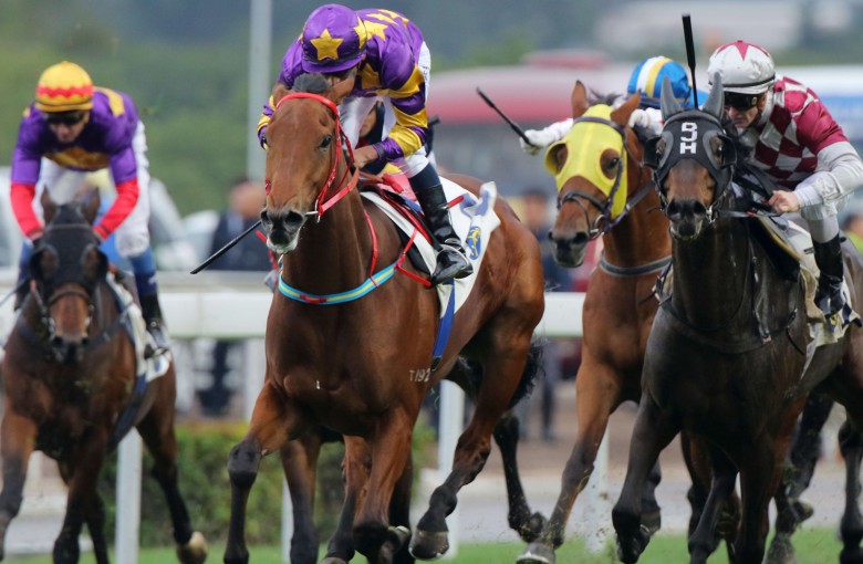 Eastern Express is the one to beat in the Group Three Sa Sa Ladies’ Purse. Photos: Kenneth Chan