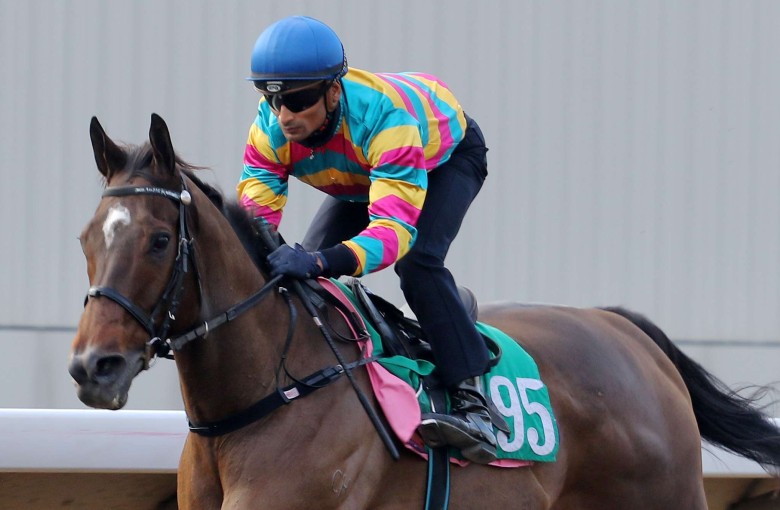 SUPER JOCKEY, ridden by Karis Teetan, won the barrier trial batch 1 over 1200Metres (All Weather Track) at Sha Tin on 29Nov16.