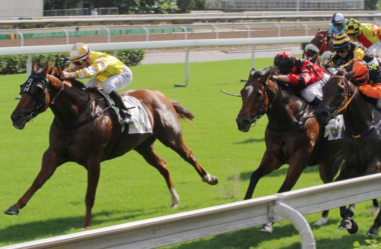 David Hall Has A Couple Of Black Bookers In His Stable Hk Racing South China Morning Post