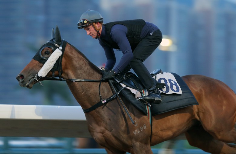 Zac Purton works Dr Listening on the dirt, the four-year-old wearing the sheepskin cheek pieces he will wear for the first time in a race on Wednesday. Photos: Kenneth Chan.