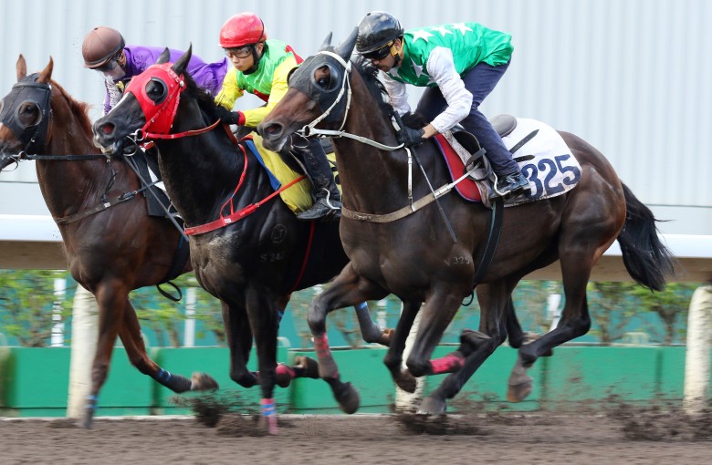 Star jockey Joao Moreira gives his seal of approval, but the horse must pass one more test before he is allowed to compete again after stunning world racing last time out