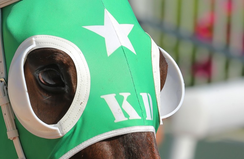 Pakistan Star, who stopped during a race last June, makes his long-awaited return at Sha Tin on Sunday. Photo: Kenneth Chan