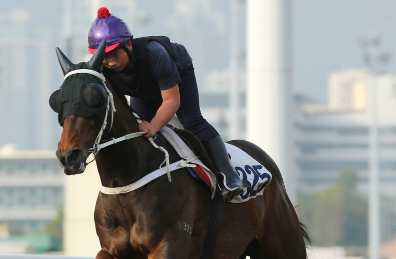 Pakistan Star gallops on Thursday morning. Photos: Kenneth Chan