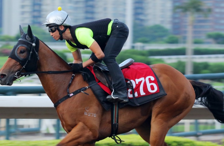 Fortune Anthem gallops at trackwork on Monday morning. Photo: Kenneth Chan