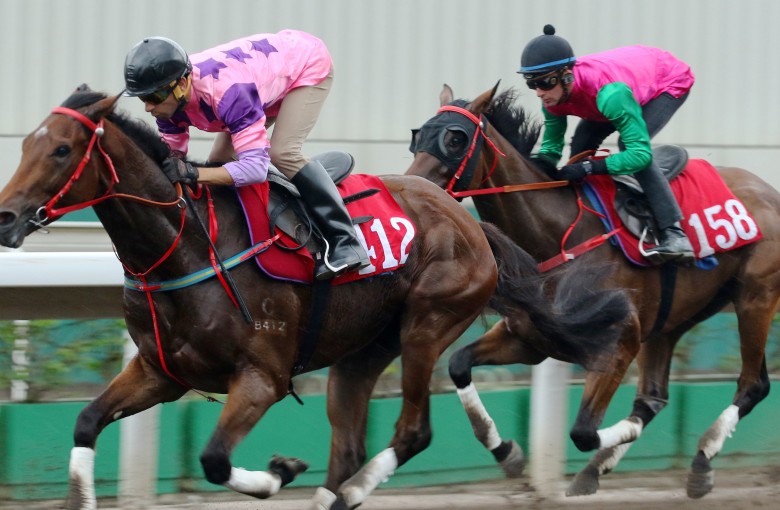 Mr So and So (left) is ridden by Joao Moreira during a trial at Sha Tin in July. Photos: Kenneth Chan.