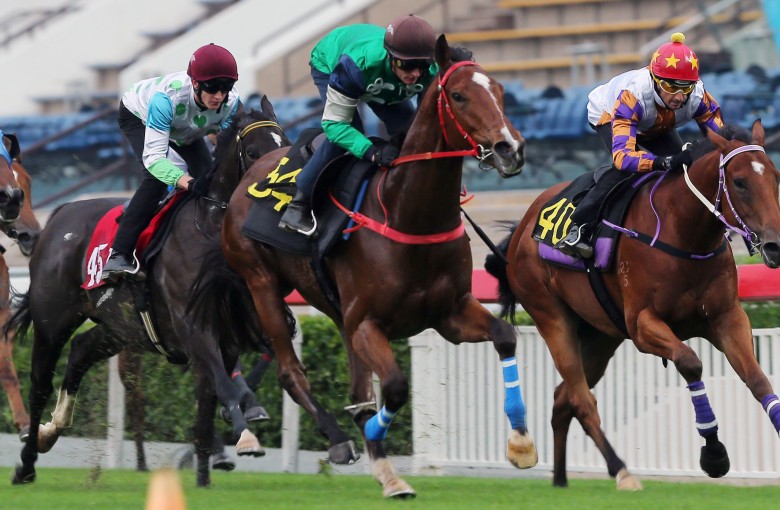 Glorious Spectrum (second from right) gallops during one of his trials. Photos: Kenneth Chan