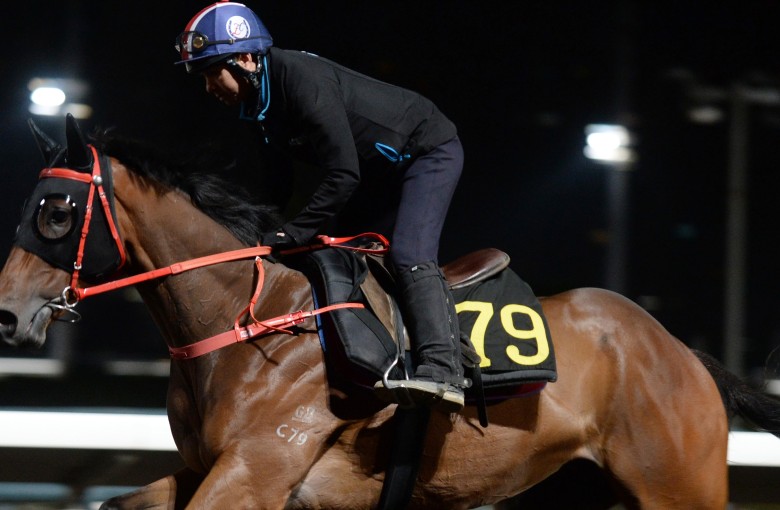 Furore is put through his paces on the all-weather track on Thursday morning. Photos: Kenneth Chan