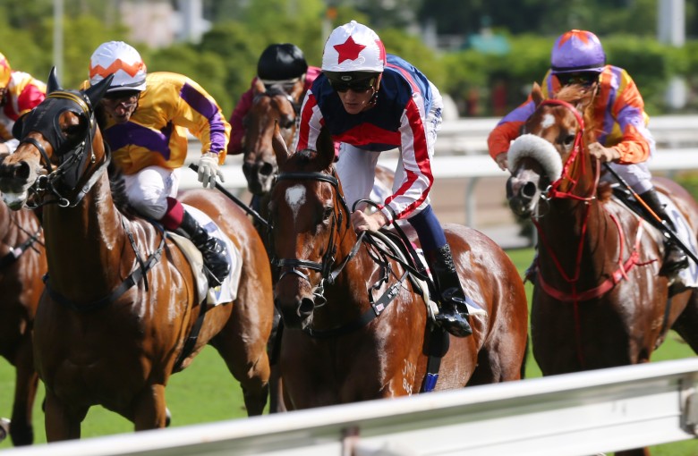 Refined Treasure returns to the Sha Tin straight on Sunday. Photos: Kenneth Chan