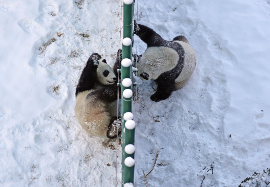 Snowstorms Paralyse China South China Morning Post
