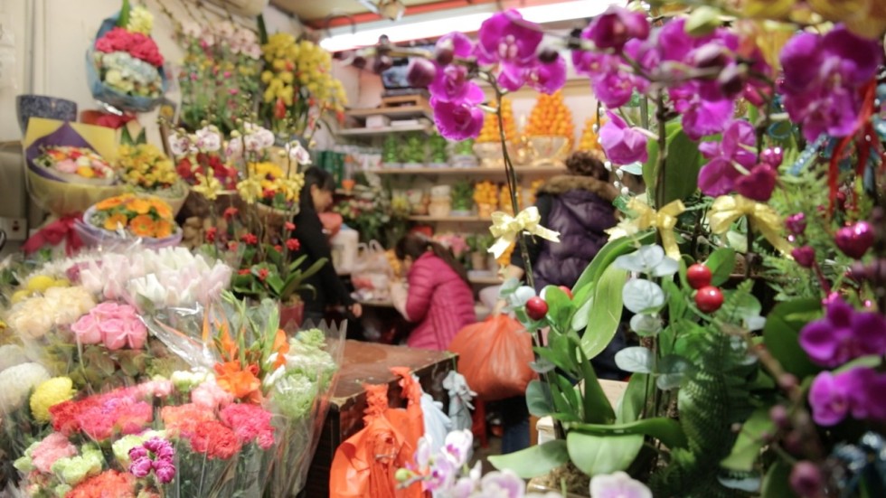 Chinese New Year 2016: the meaning behind plants and decorations we