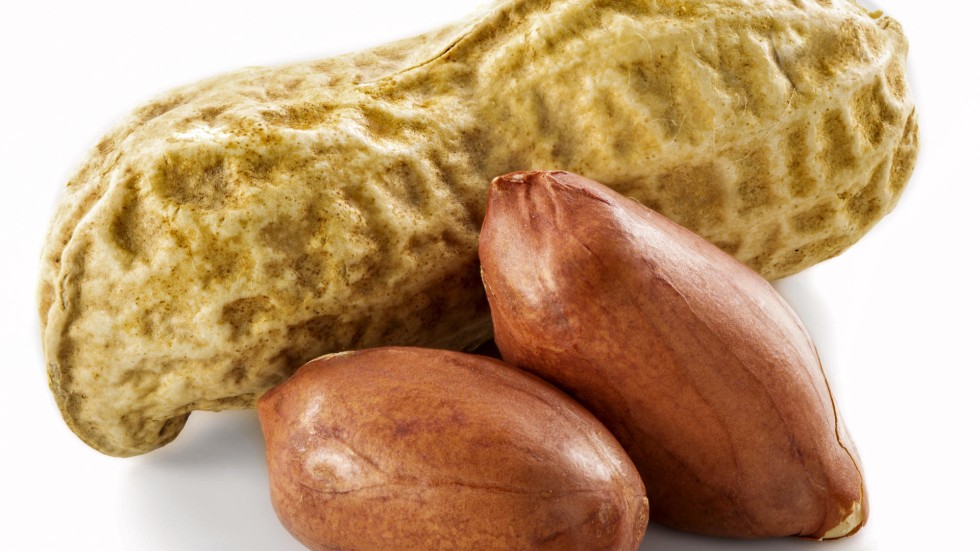 Nut allergies parents association