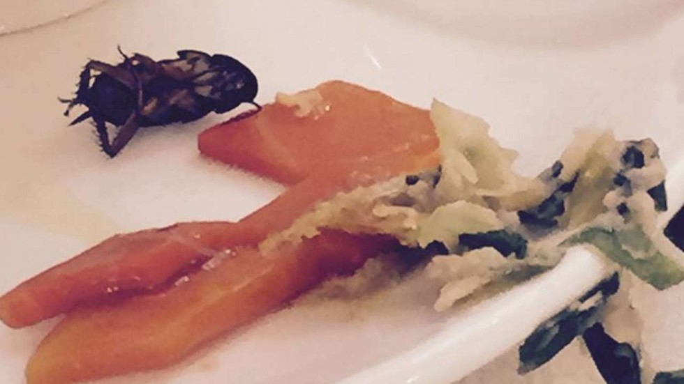 Sex encounter food — photo 9