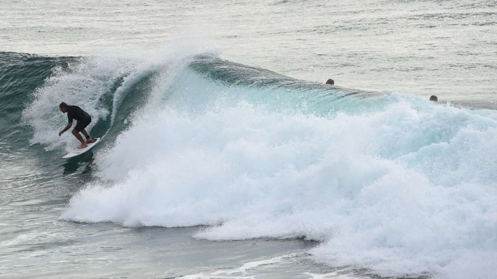 Surfers’ paradise lost: Australian wave riders still reeling from shark