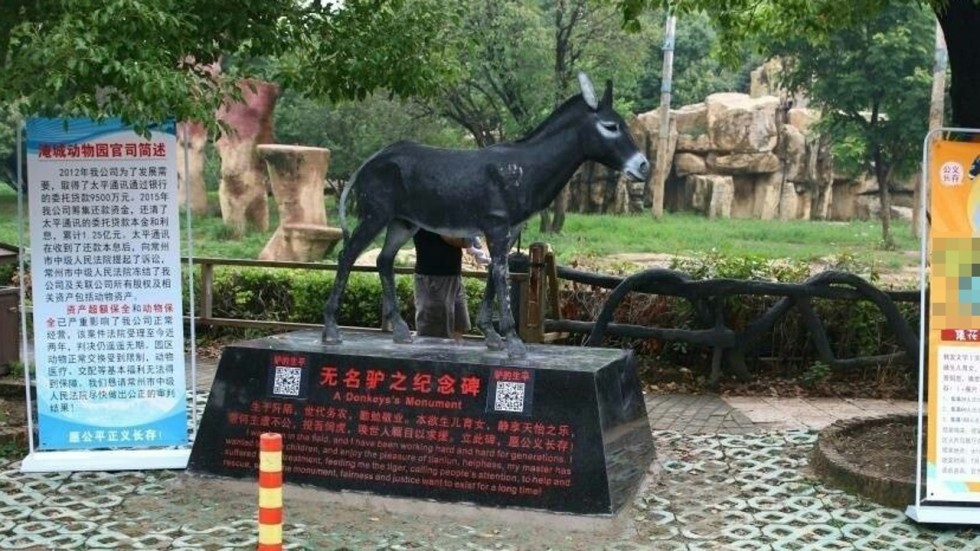 A memorial to the donkey eaten by tigers stands proud in a quiet corner of Yancheng Zoo. Photo: Handout