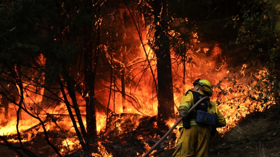 Image result for 31 killed in deadliest wildfire in California history