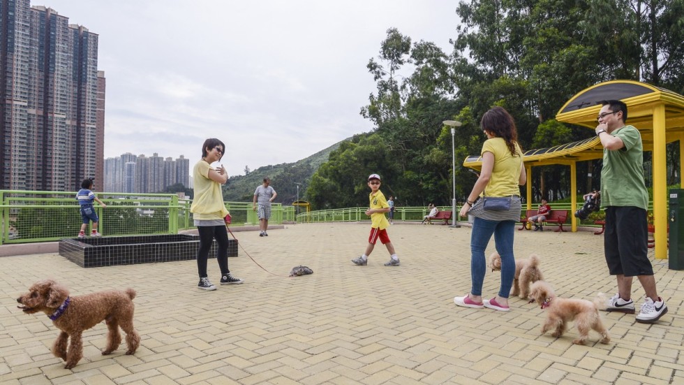 Backward attitude to owning pets in Hong Kong must change South China