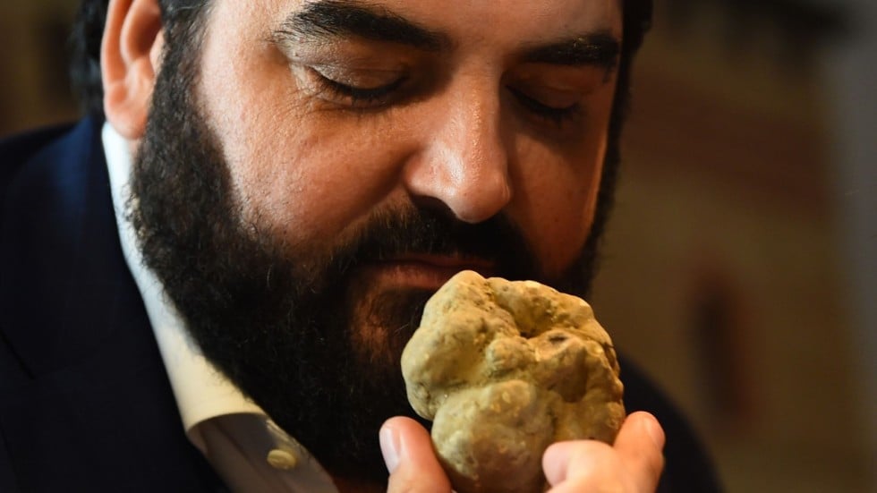 Hong Kong buyer forks out HK$750,000 for Italian white truffles at ...
