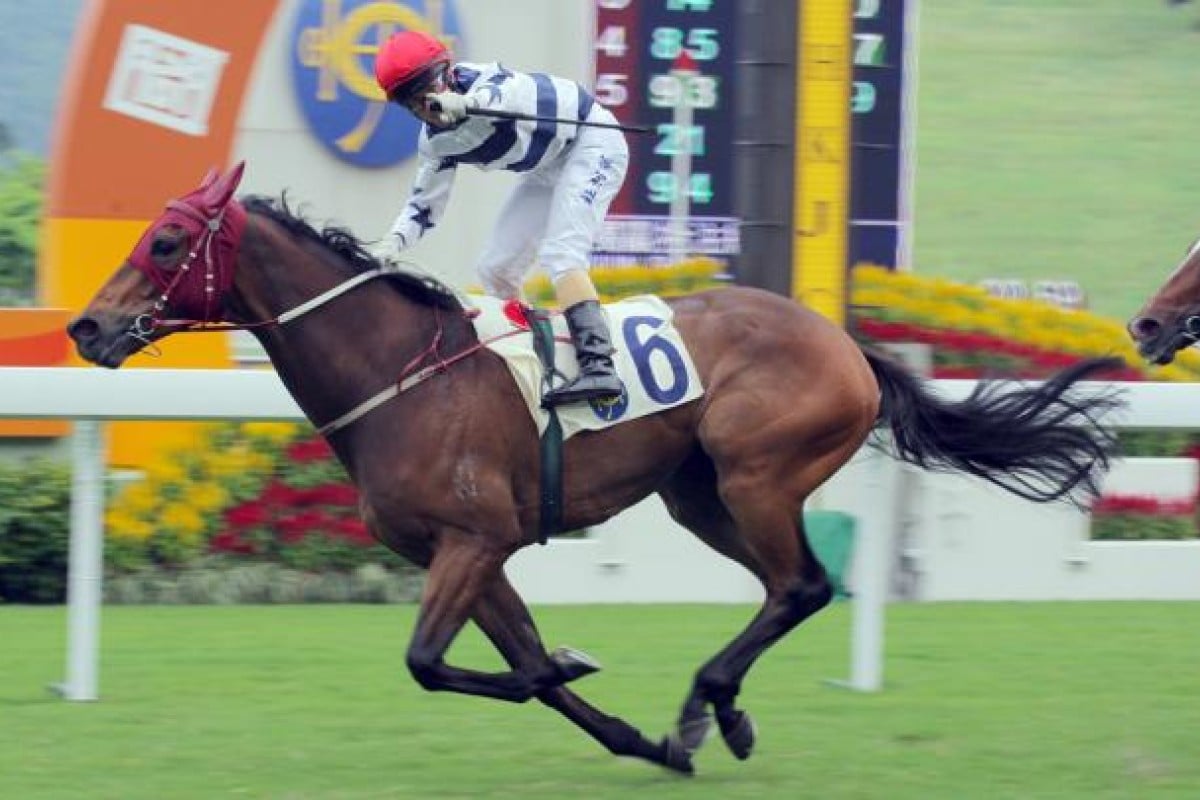 Packing OK ran away with the National Day Cup on Monday, but the race lacked star appeal. Photo: Kenneth Chan