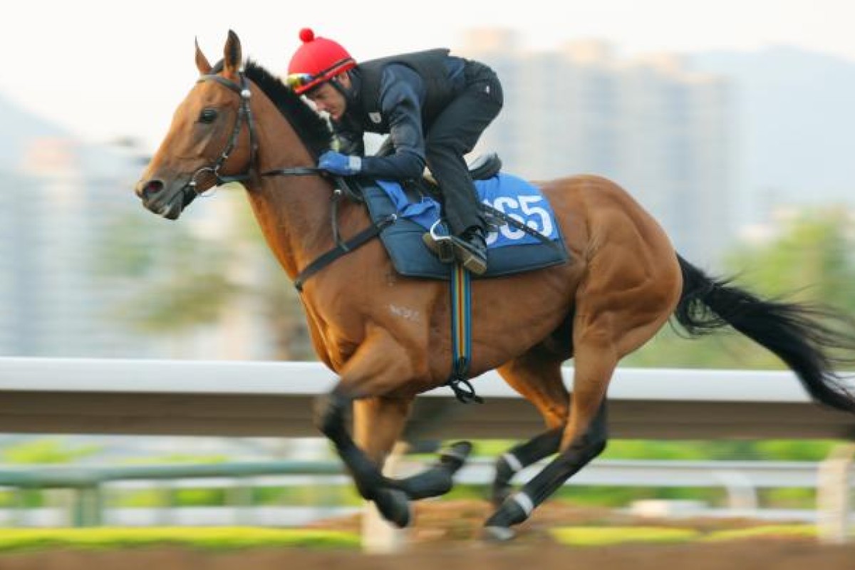 Super Tiger. Photo: Kenneth Chan