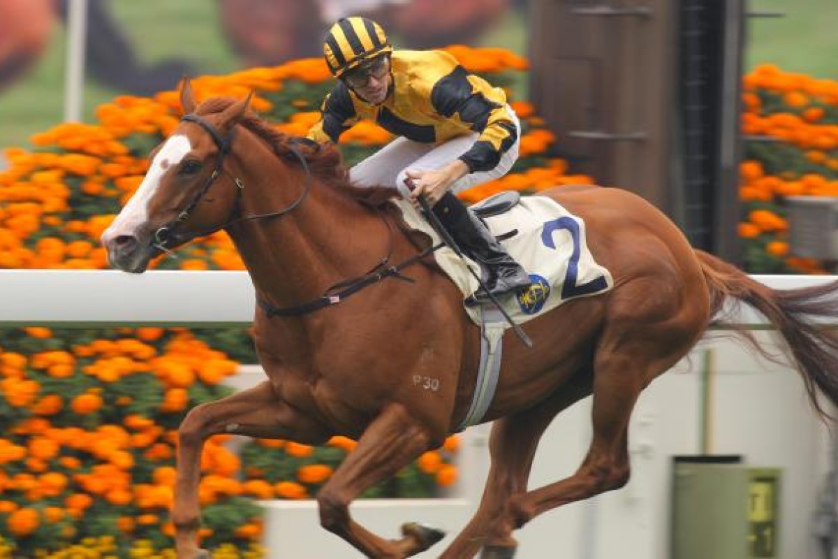 Tye Angland believes Divine Diya will relish a step up in trip but will need time. Photo: Kenneth Chan