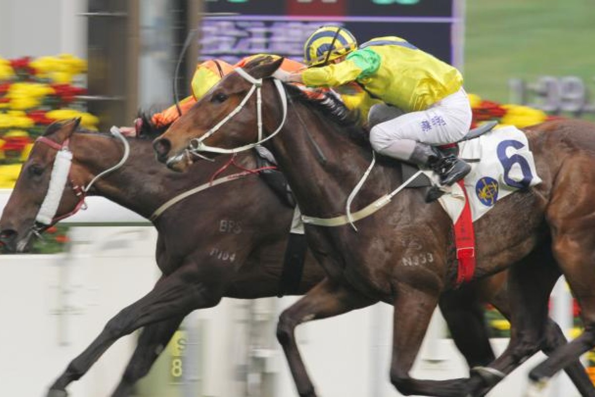 Bullish Friend (No 6), ridden by Matthew Chadwick. Photo: Kenneth Chan