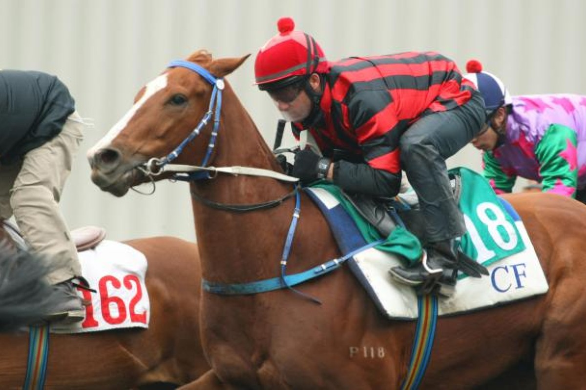 Rainbow Chic has been showing plenty on the training track and looks a standout in the middle leg. Photo: Kenneth Chan